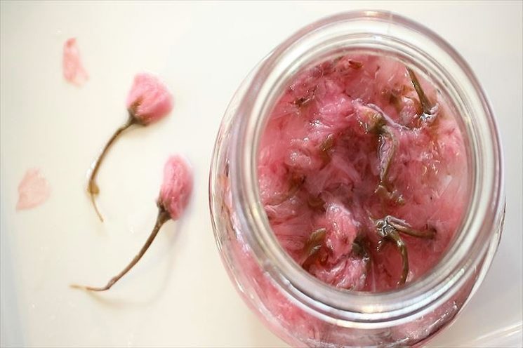 桜のシロップ漬けの作り方 レシピ 桜の塩漬けを使って簡単 コリスのお菓子作りブログ